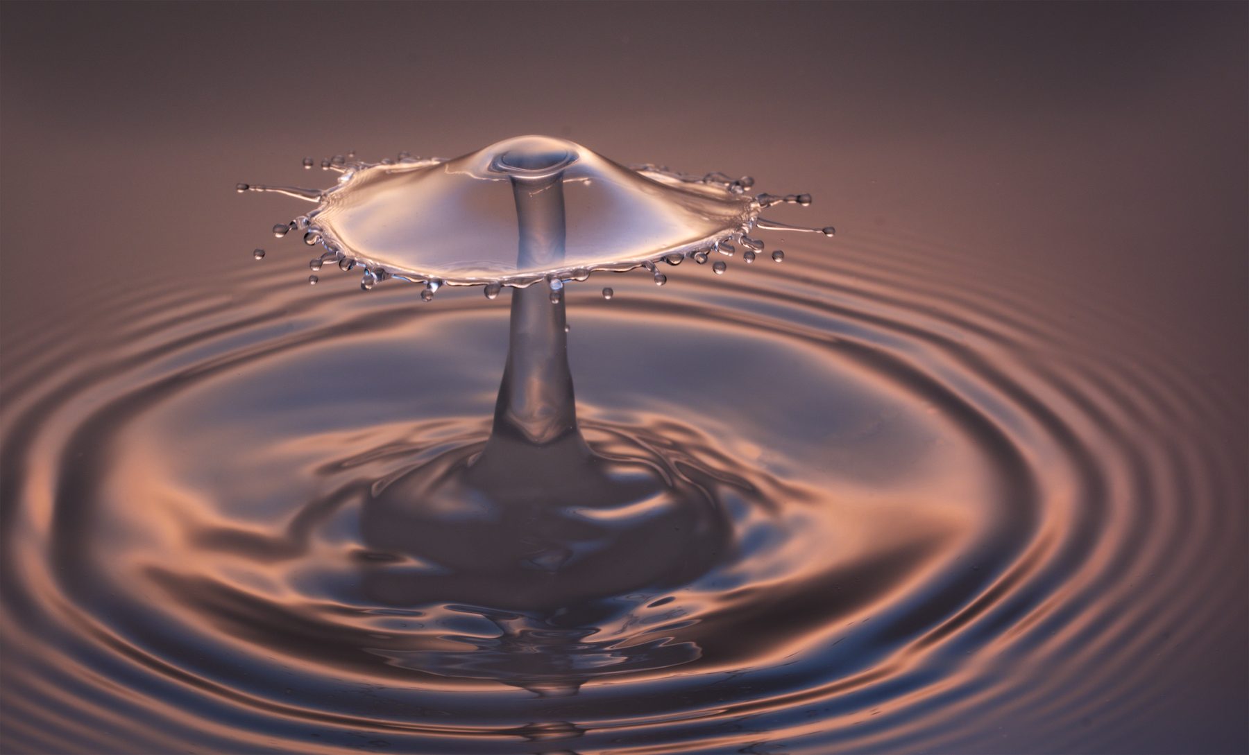 X-DROP — water-drop photography